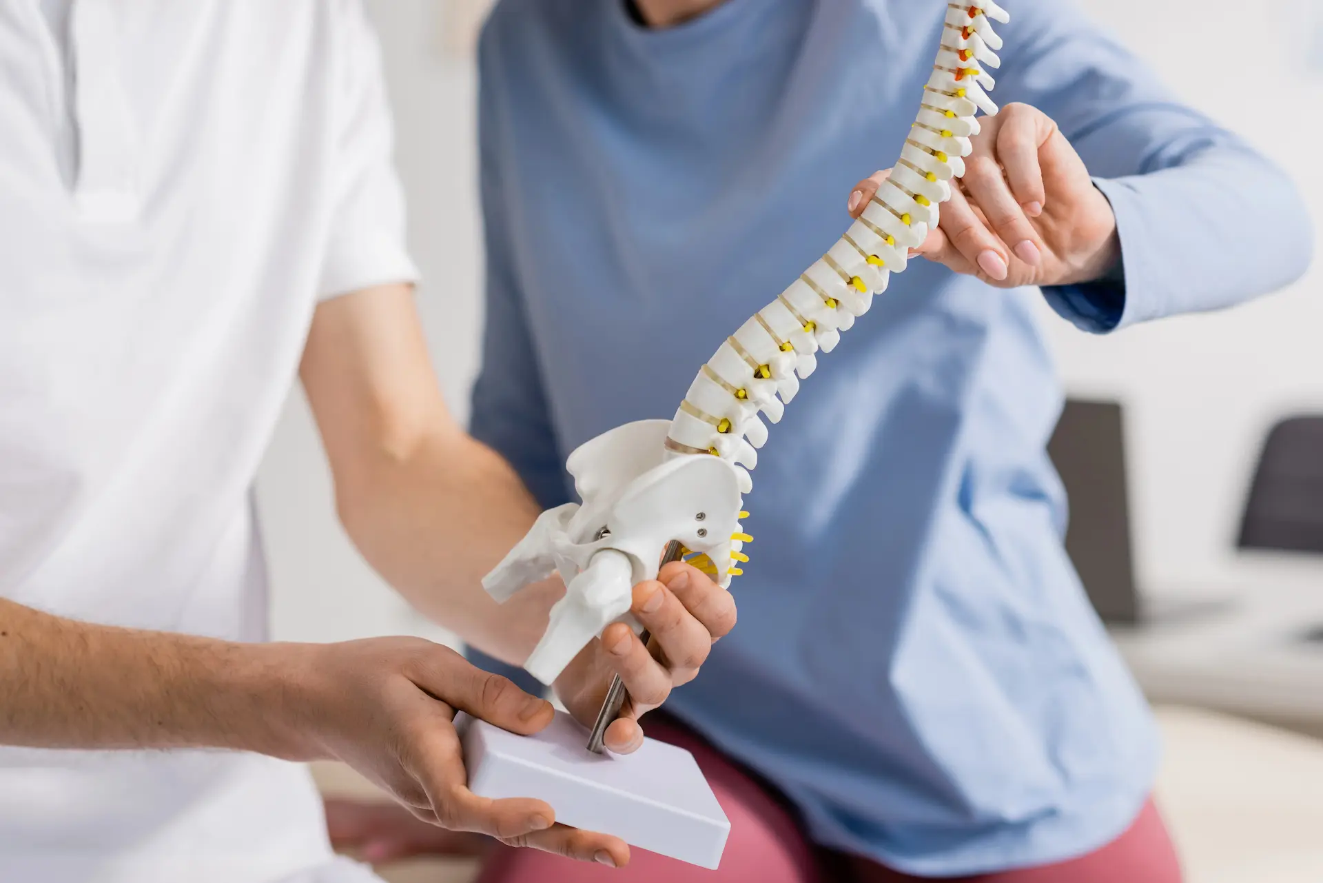 Un professionnel de santé manipule un modèle anatomique de colonne vertébrale et du bassin, en pointant des vertèbres pour expliquer une douleur dorsale au patient