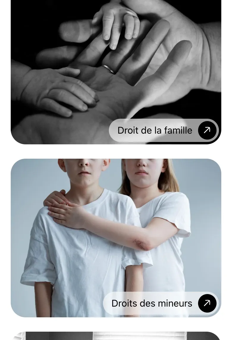 Détail du site Maître Fontaine : les vignettes