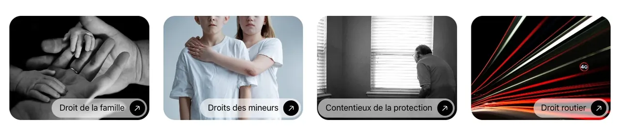 Détail du site Maître Fontaine : les vignettes