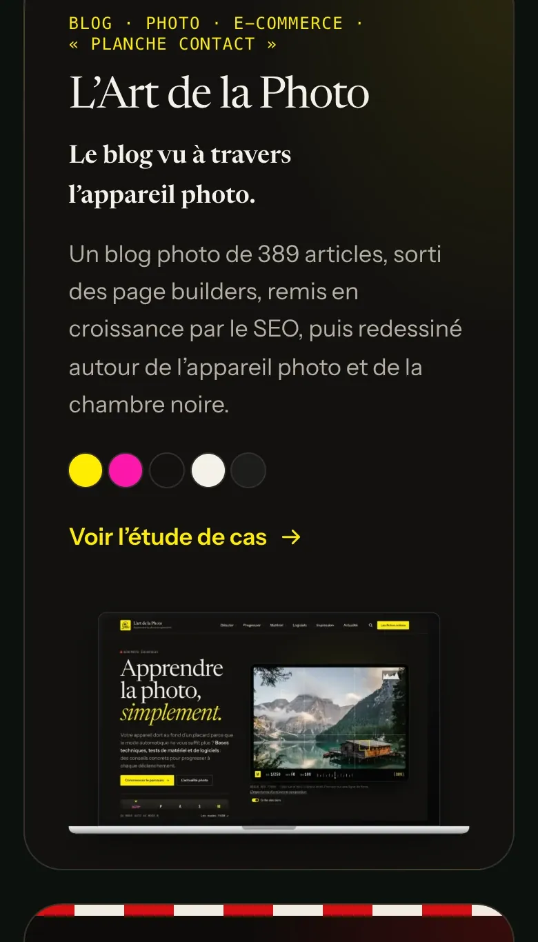Détail du site Wasabi Web Design : chaque carte à ses couleurs