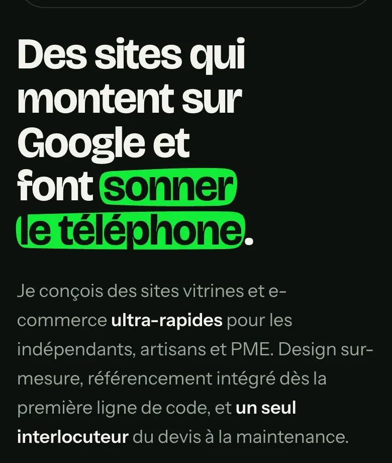 Détail du site Wasabi Web Design : le coup de pinceau
